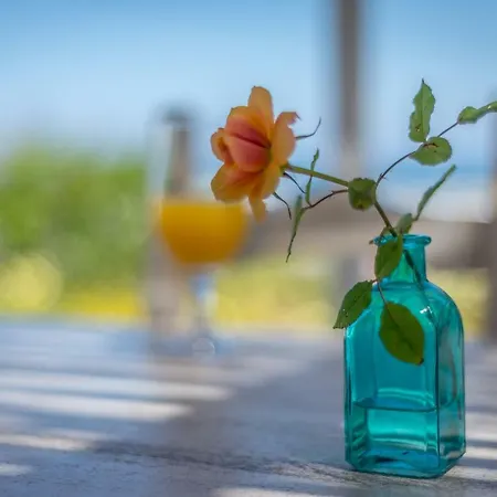 בית נופש Bliss House