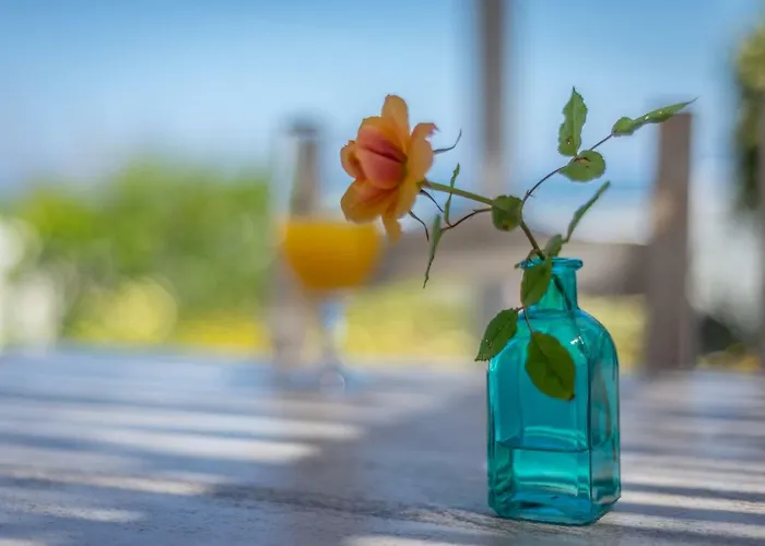 Feriehus Bliss House